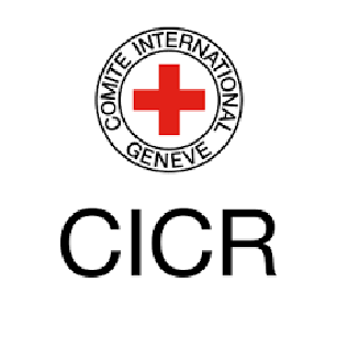 Comite Internacional Geneve